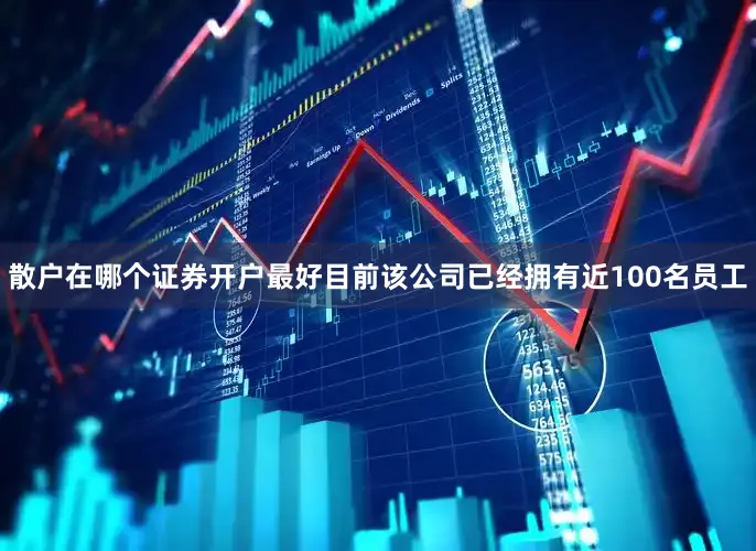 散户在哪个证券开户最好目前该公司已经拥有近100名员工